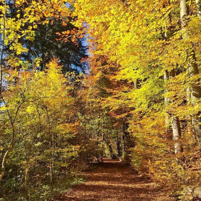 Birgit_Gの美しい写真による天気予報