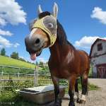 Lotti5507