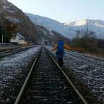 Saray