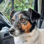 Barnett-28
